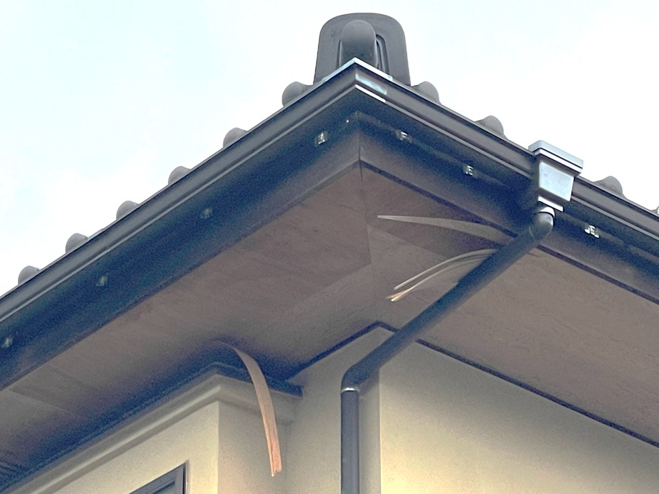 軒天の剥がれが見られます