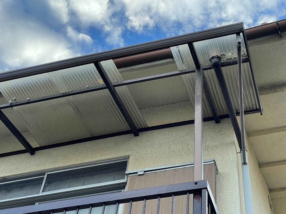 波板調査を行いました