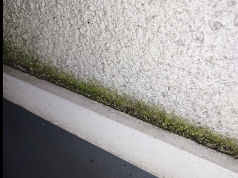 工事前の外壁の状態です