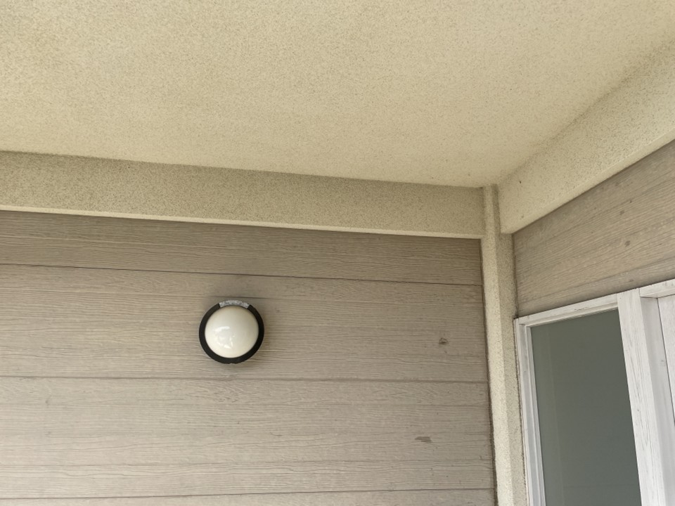 現地調査の外壁の状態