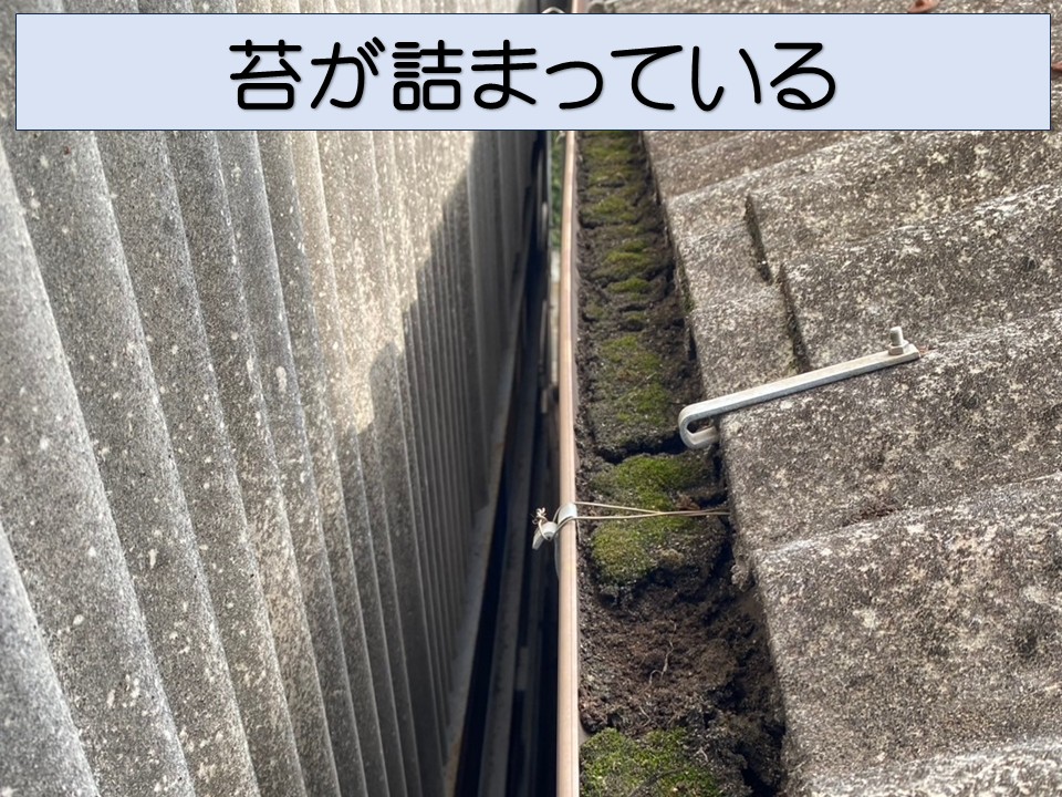 苔の詰まりが見られます