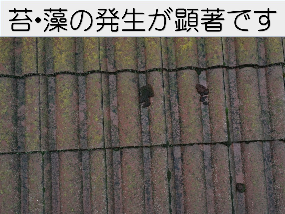 屋根の状態を調査しました