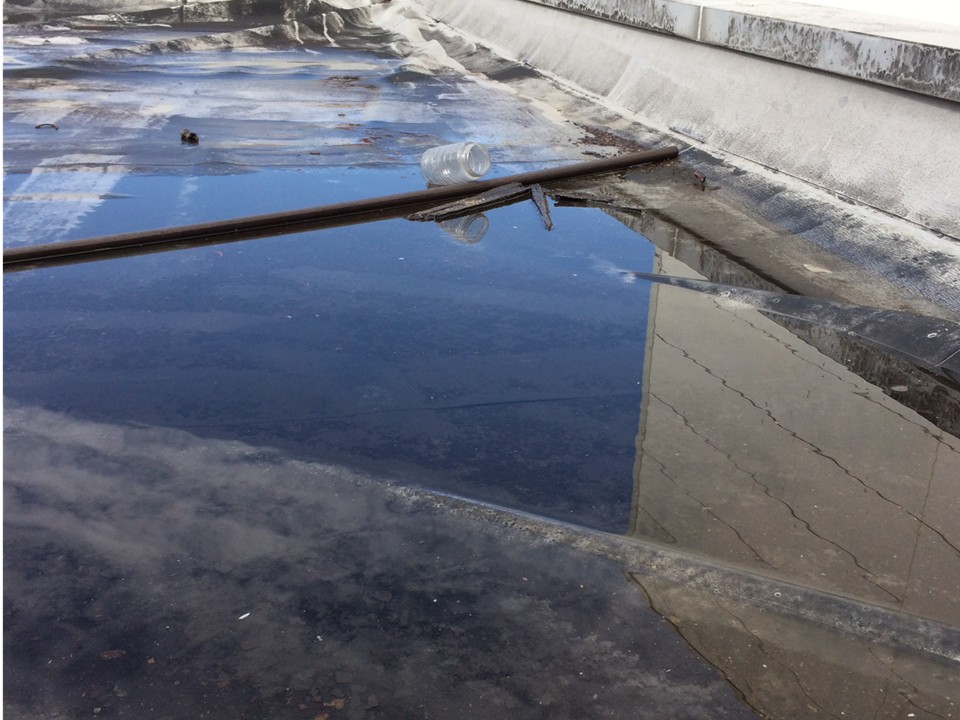 雨天時防水調査