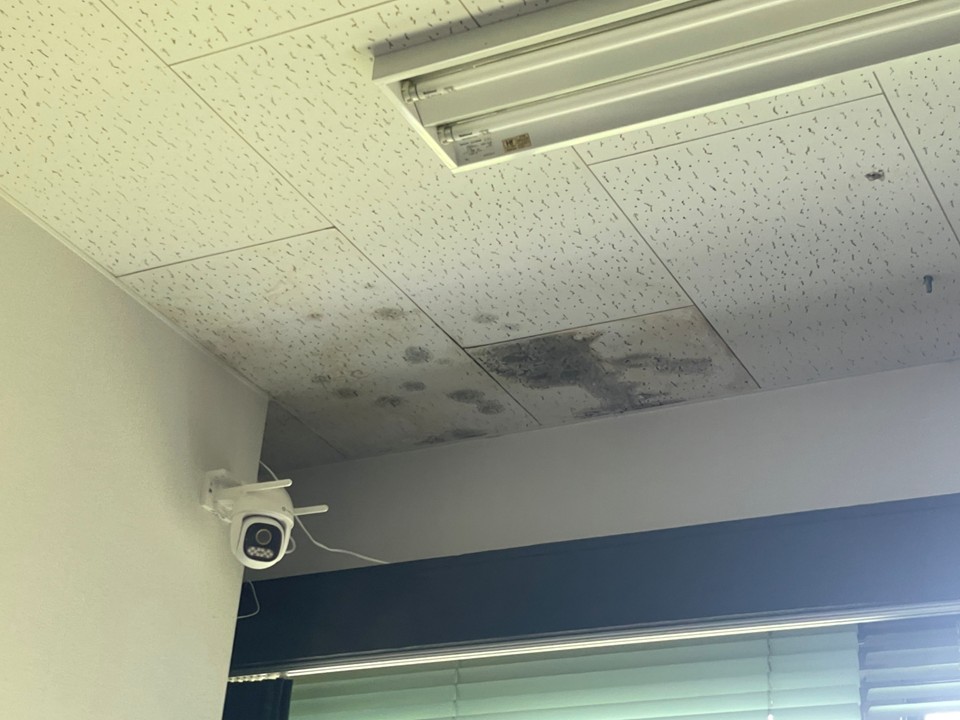 天井に染みが見られます