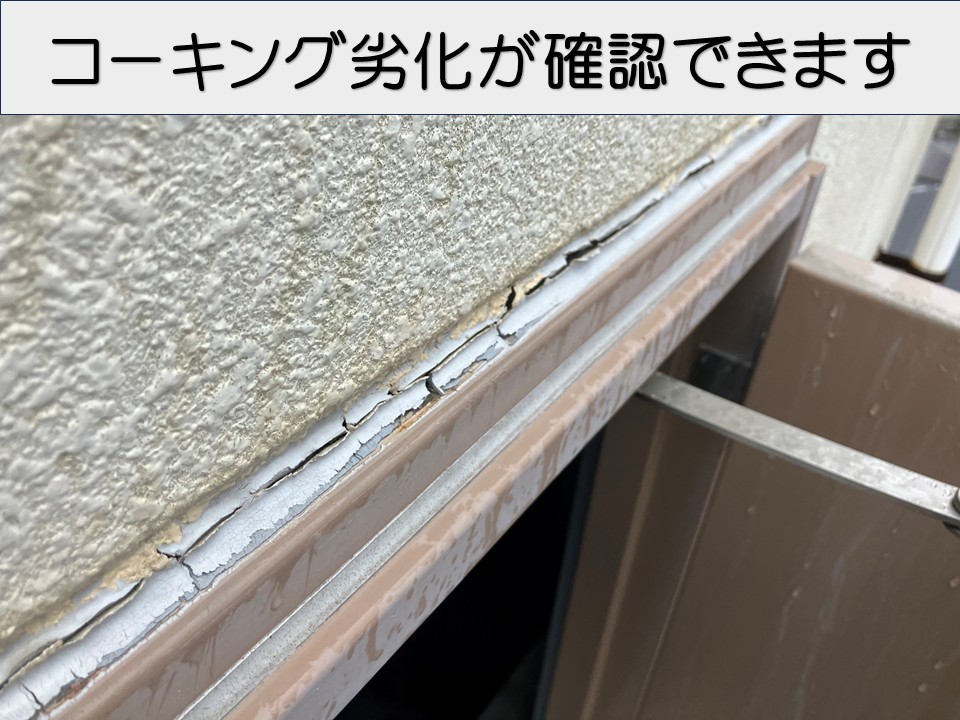 現地調査の様子