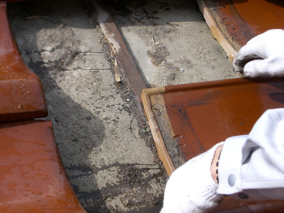 瓦を外し、防水層を確認