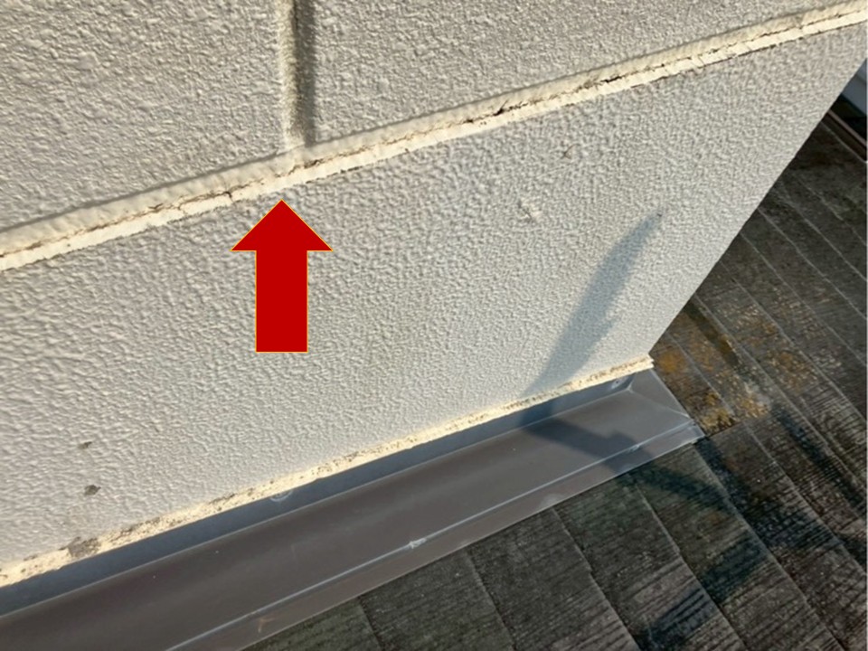 現地調査の様子