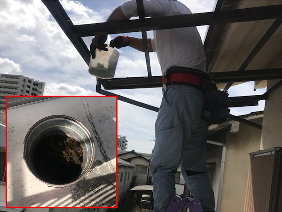 骨組みの掃除を行いました