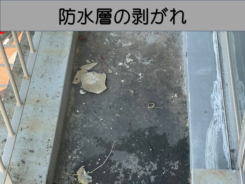 防水層の剥がれ