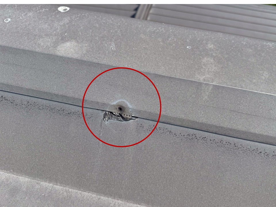 ビスまわりの錆び・浮き