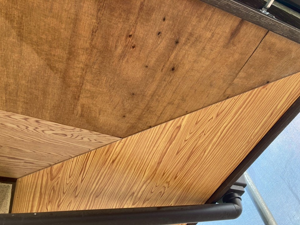 軒天補修を行っています