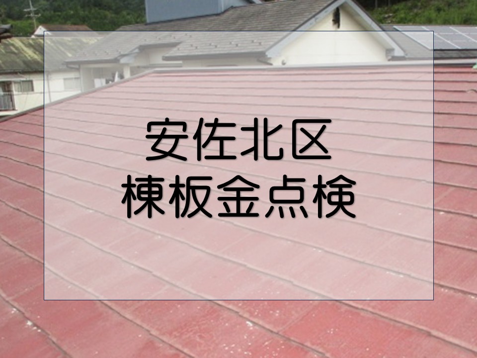 棟板金の点検、調査を行いました