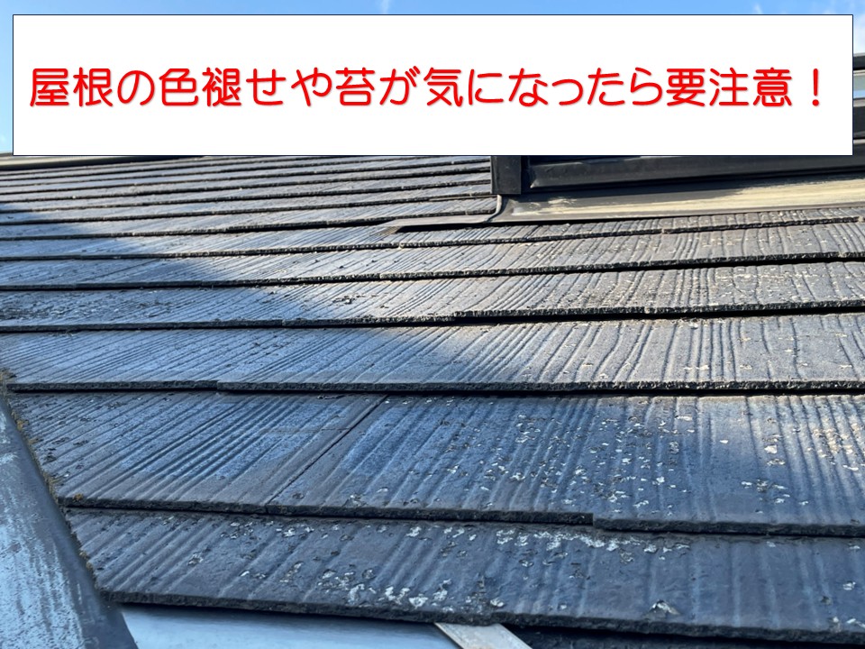 屋根の無料調査実施