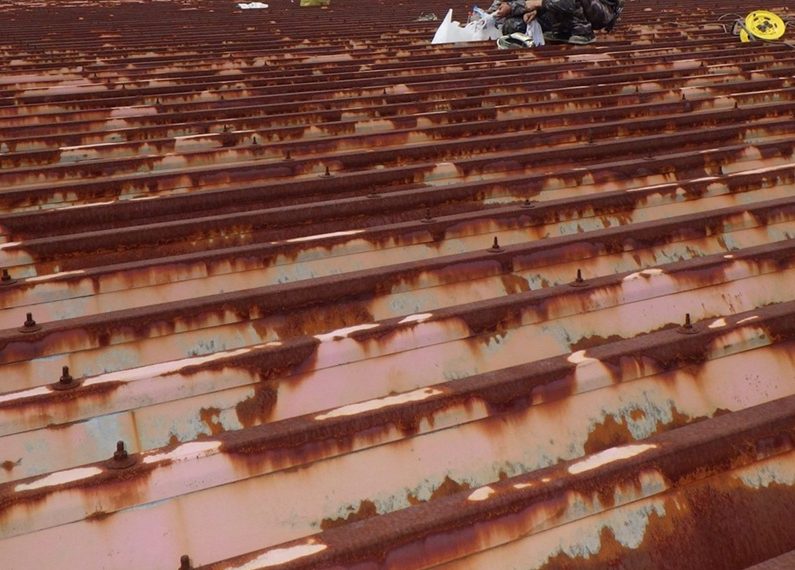 屋根の掃除を行いました