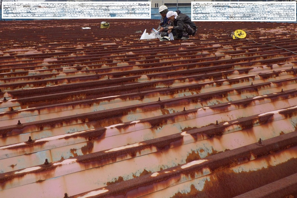 屋根の掃除を行いました