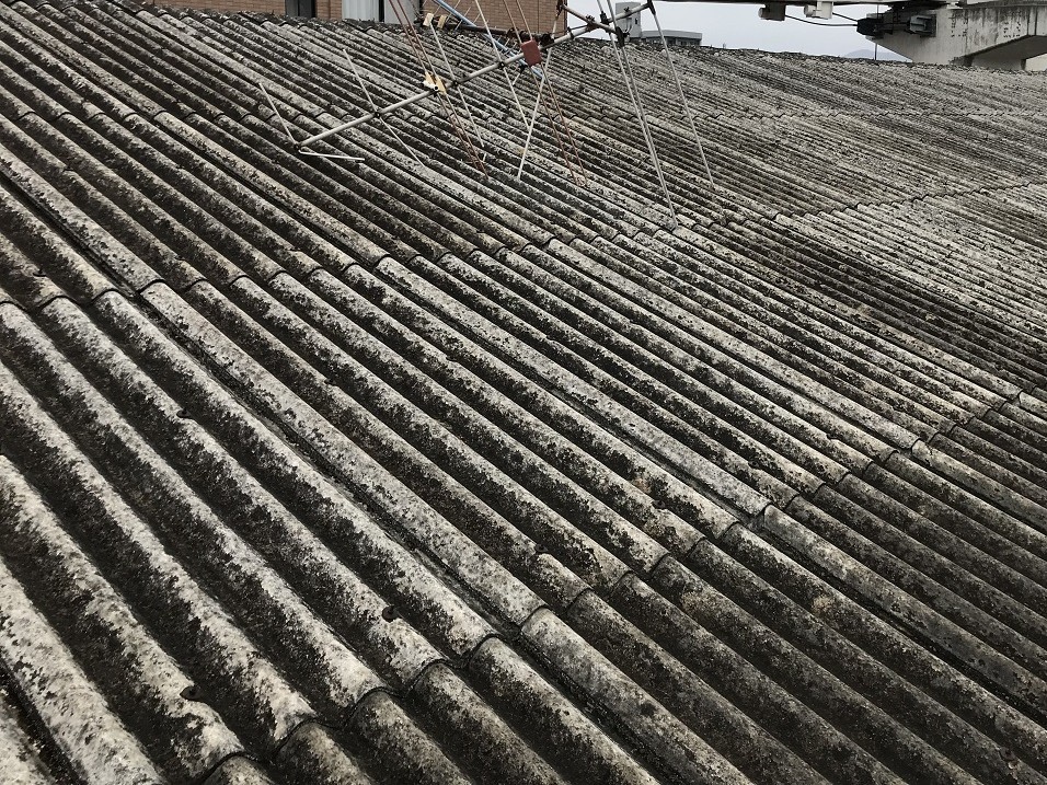 「スレート屋根全体に広がる黒ずみと汚れ。塗