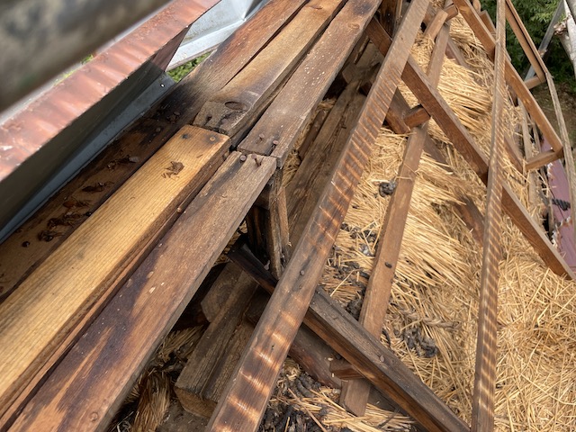 トタン屋根撤去