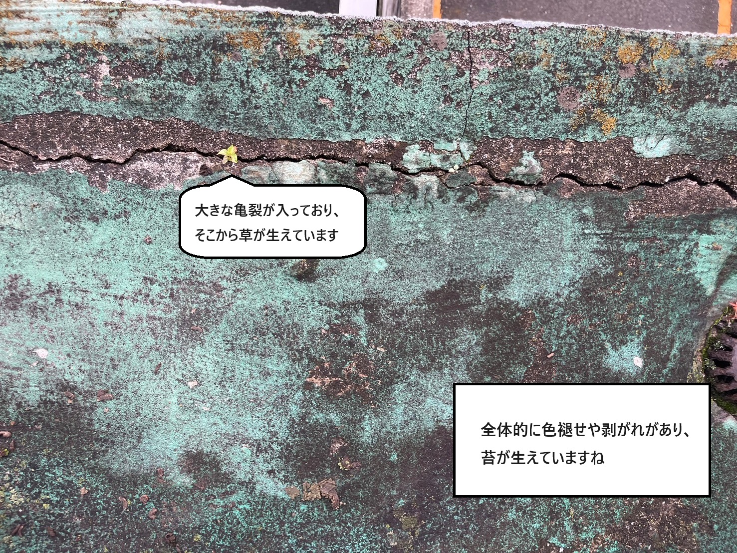 陸屋根経年劣化