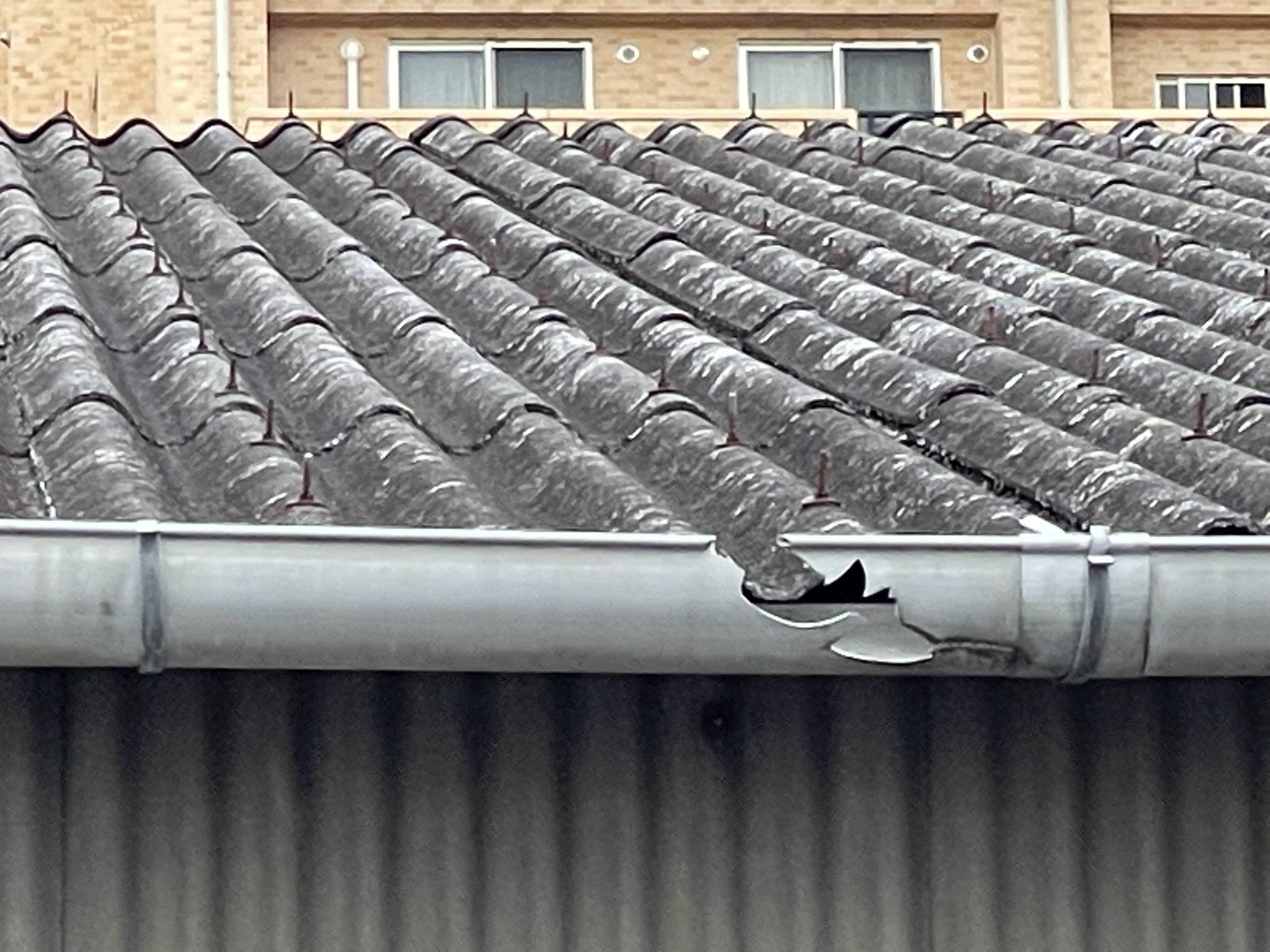 雨樋