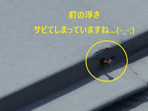 屋根が壊れてると指摘され不安に…棟板金の浮きを直しましょう