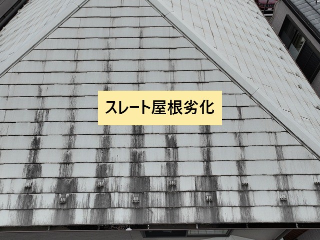 スレート屋根劣化