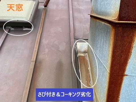 雨漏りの原因箇所