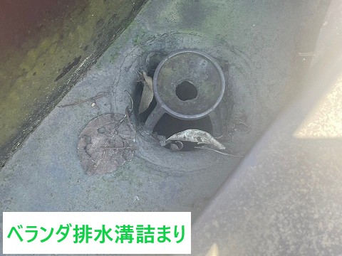 ベランダ排水溝詰まり