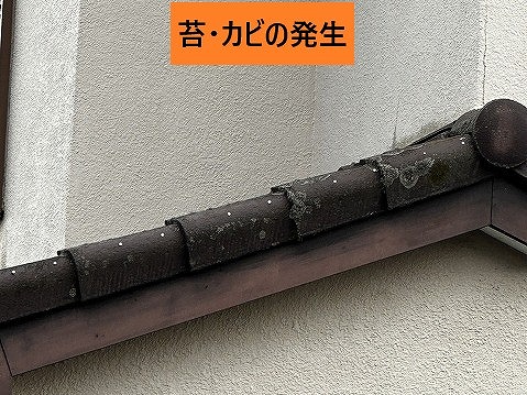苔とカビのある瓦