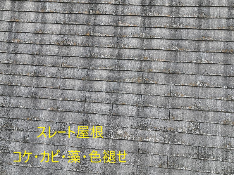 住宅塗装　リフォームのご相談