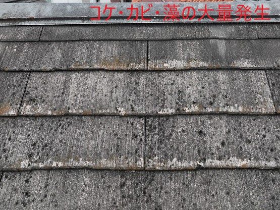 屋根無料点検　調査　スレート屋根