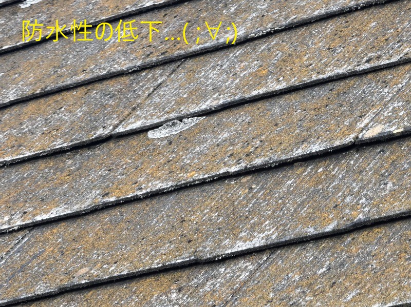 住宅塗装　リフォームのご相談