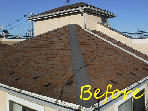 屋根塗装　アスファルトシングル　日本ペイント