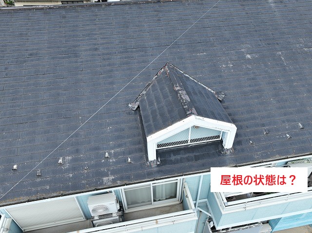 アパート点検で傷みを徹底調査開始٩( ''ω'' )و