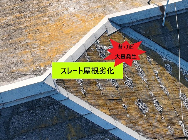 スレート屋根劣化