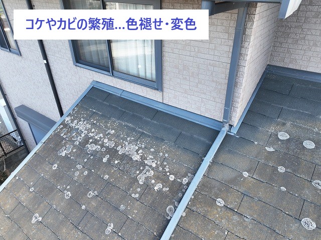 屋根カバー工法 屋根のことってどこに相談して良いのか分からない…そんな時は街の屋根やさんへ♡