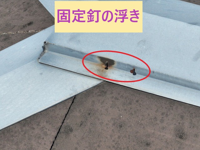 固定釘の浮き