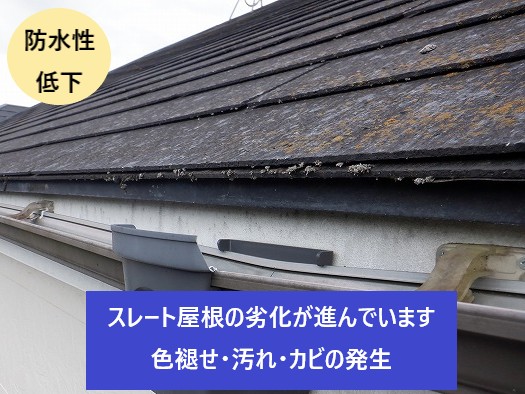 スレート屋根劣化