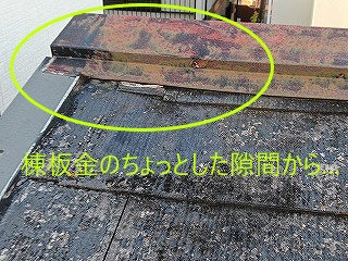 雨漏りの原因を追究します