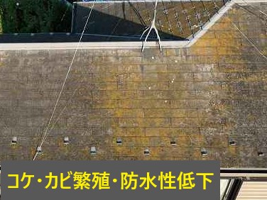 屋根点検　専門家が教える屋根診断