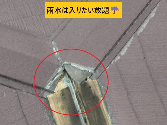 台風被害棟板金雨水は入りたい放題