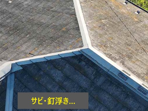 屋根点検　専門家が教える屋根診断