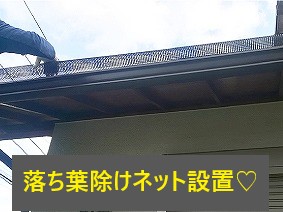 雨樋掃除　落ち葉除けネットで詰まり知らず♪