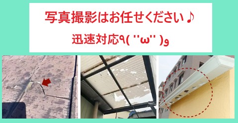 雹（ひょう）被害多発　20250827になにが起こった？！