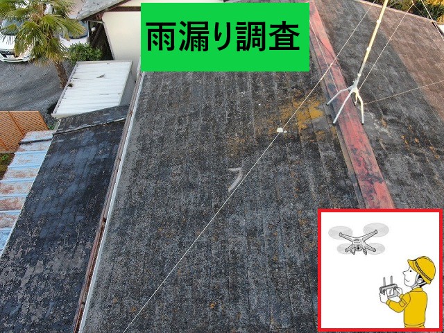 雨漏り調査
