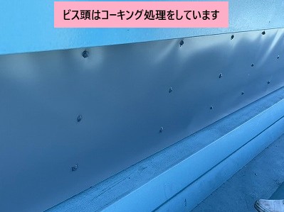 ビス頭をコーキングで埋めました