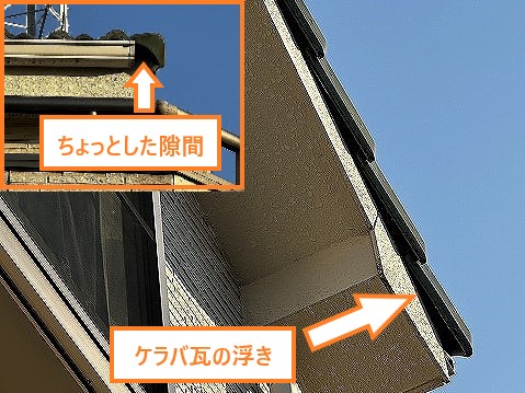 屋根裏に潜む小さな害獣…