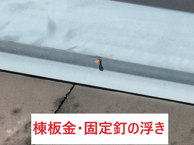 棟板金・固定釘の浮き
