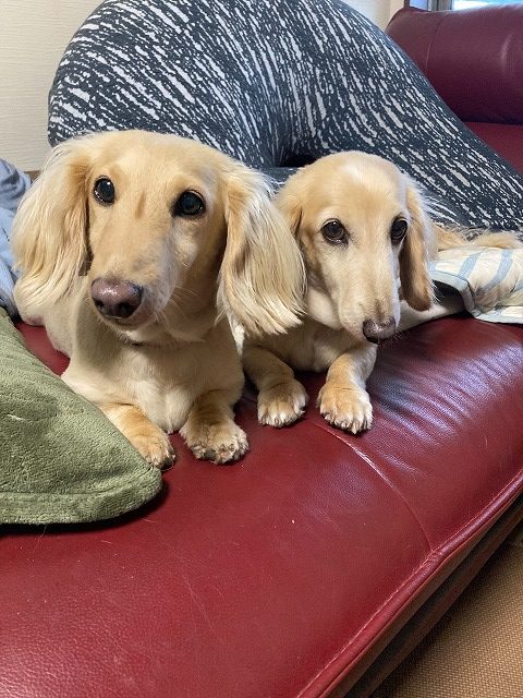 お客様の声スキャン画像