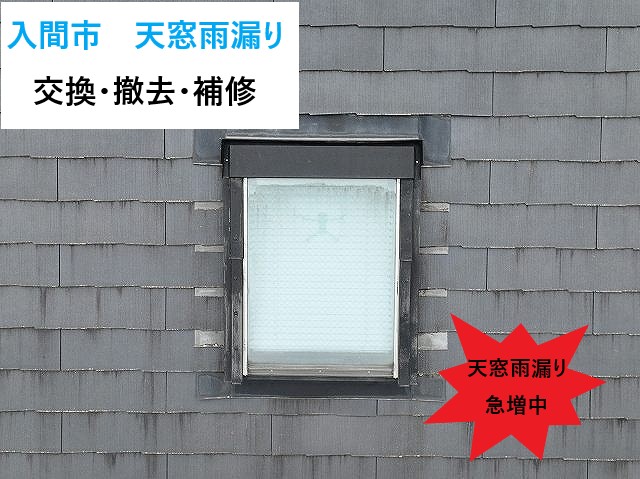 入間市天窓雨漏り