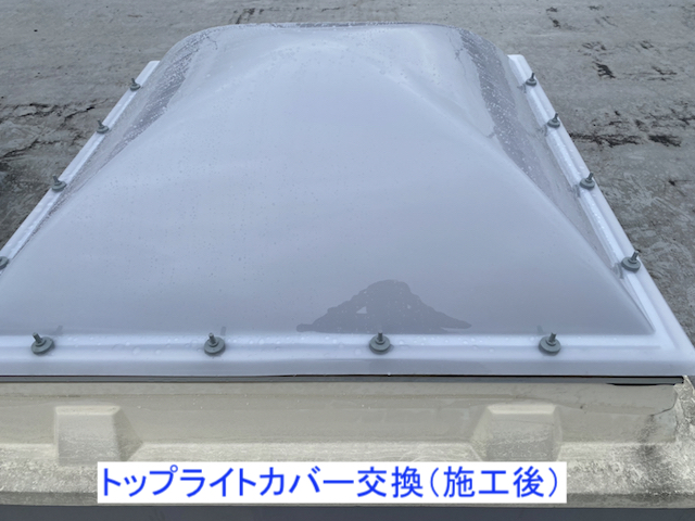 トップライトカバー交換施工後